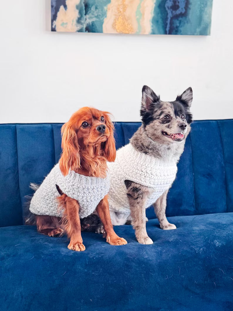 CROCHET PATTERN + VIDEO Top Down Dog Sweater Crochet Pattern – Wheat Stitch™ One Piece Easy Pet Pullover in 8 Sizes – Pdf Digital Download