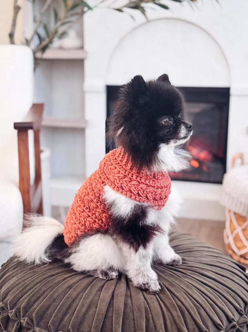 CROCHET PATTERN + VIDEO Top Down Dog Sweater Crochet Pattern – Wheat Stitch™ One Piece Easy Pet Pullover in 8 Sizes – Pdf Digital Download